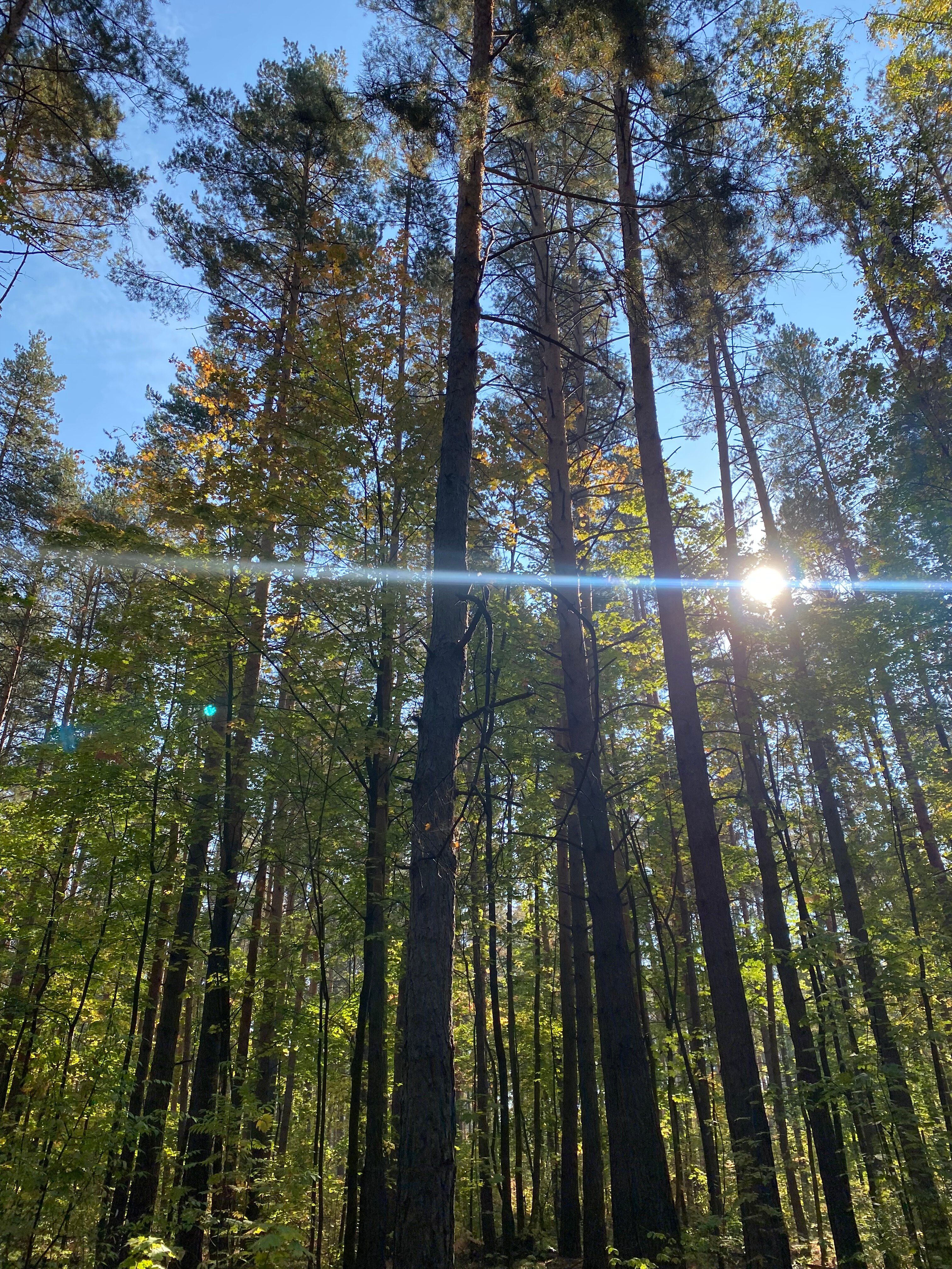 Фото Монте-Карло