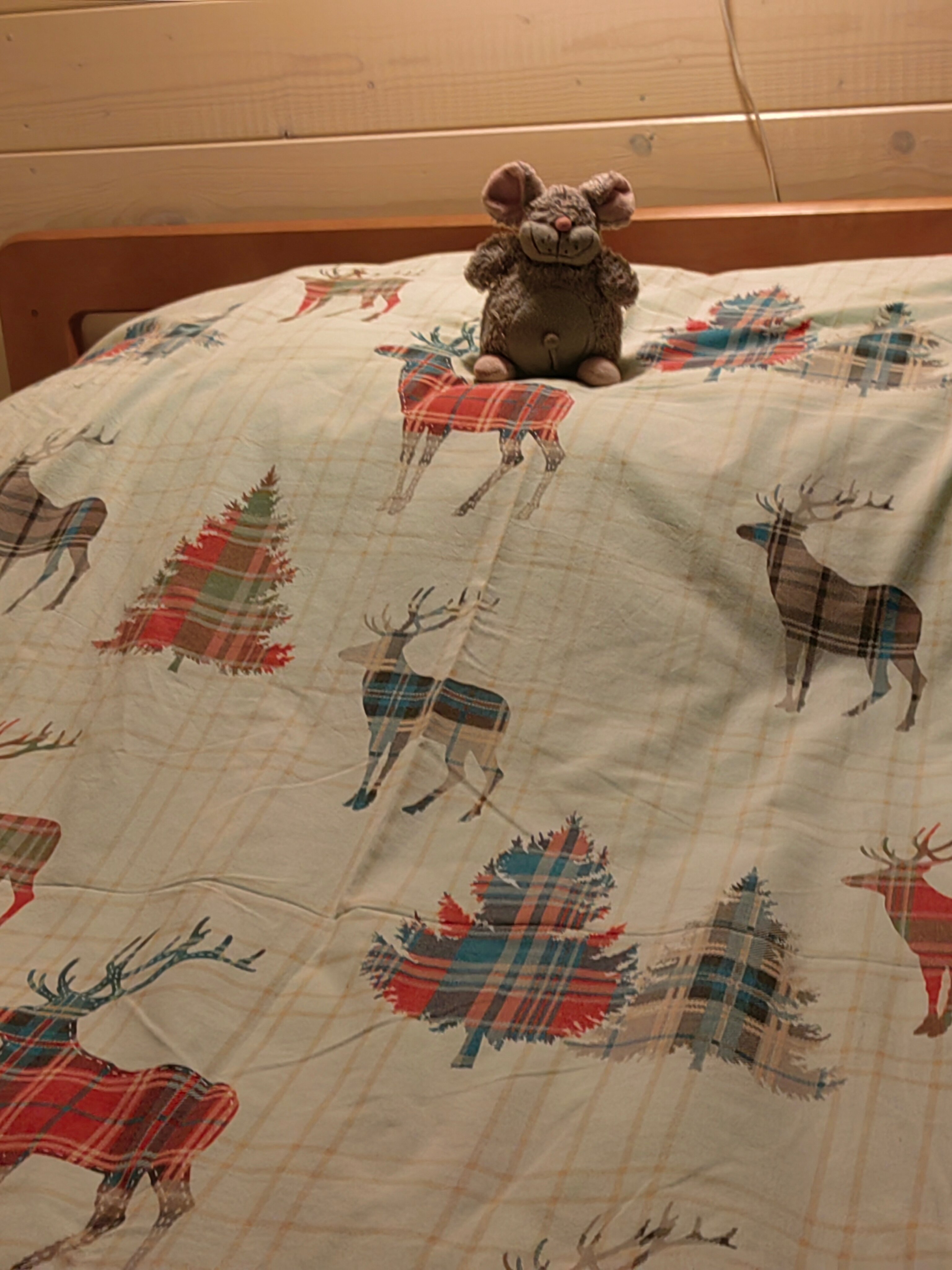 Фото Лосиный тупичок