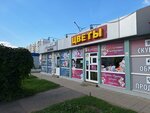 Цветы (Volkhovskaya ulitsa, 38к1) ، محل زهور