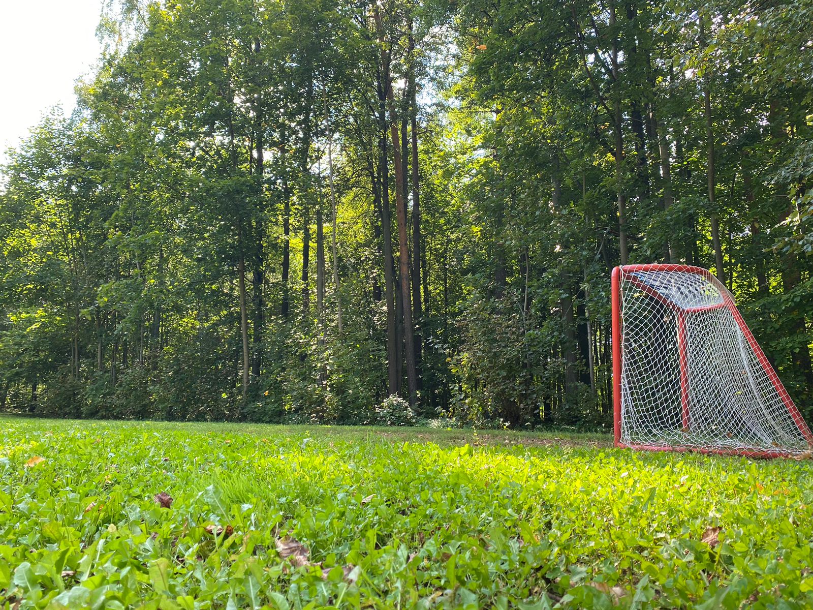 Фото Нагорное