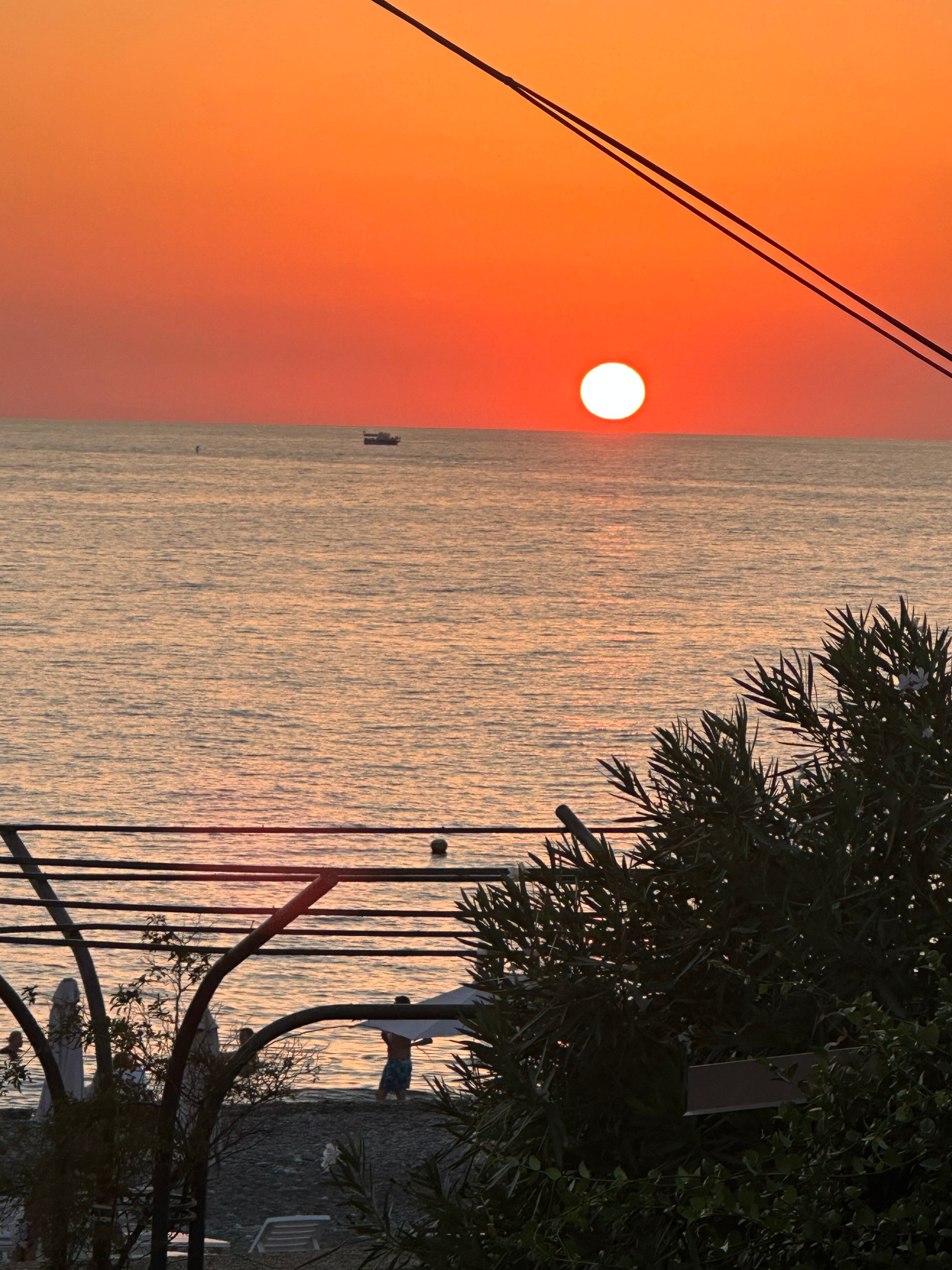 Фото Золотой огонек