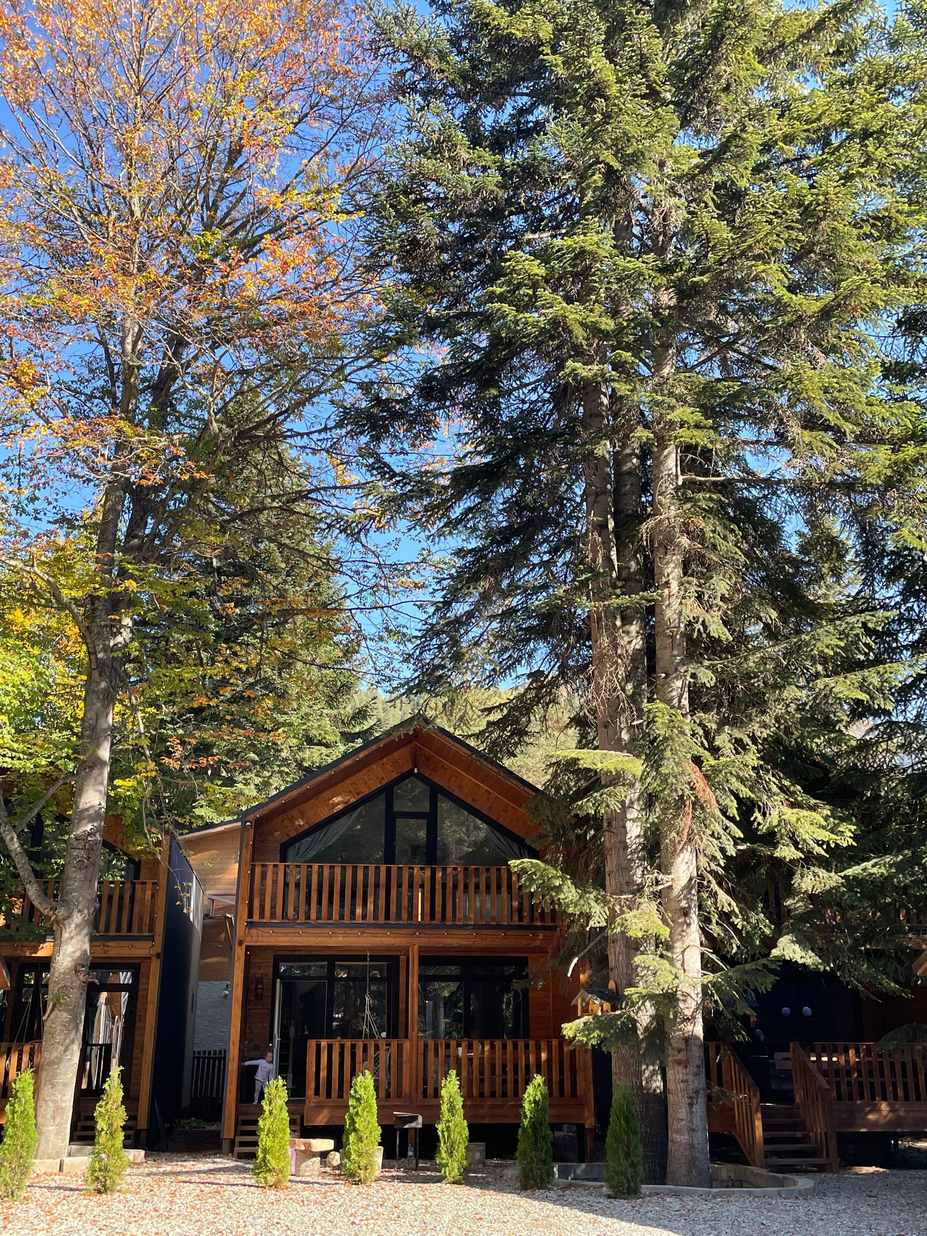 Фото Архыз Тревел