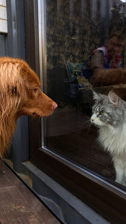 Фото Лес и луга