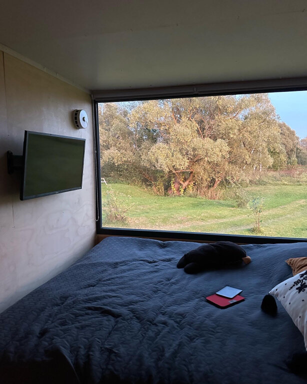 Фото Лес и луга