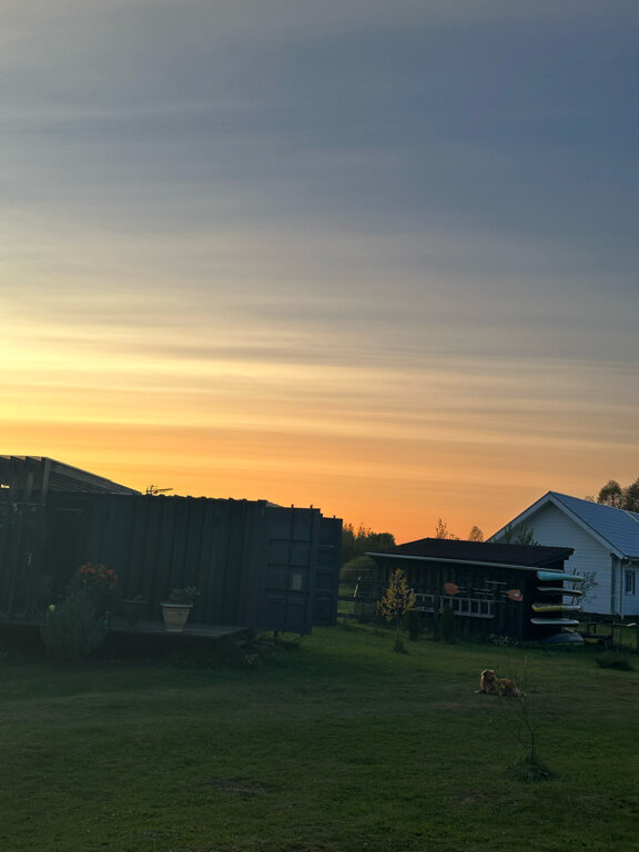 Фото Лес и луга