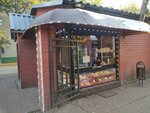 Bystroye pitaniye (ulitsa Kosmonavtov, 15А), fast food
