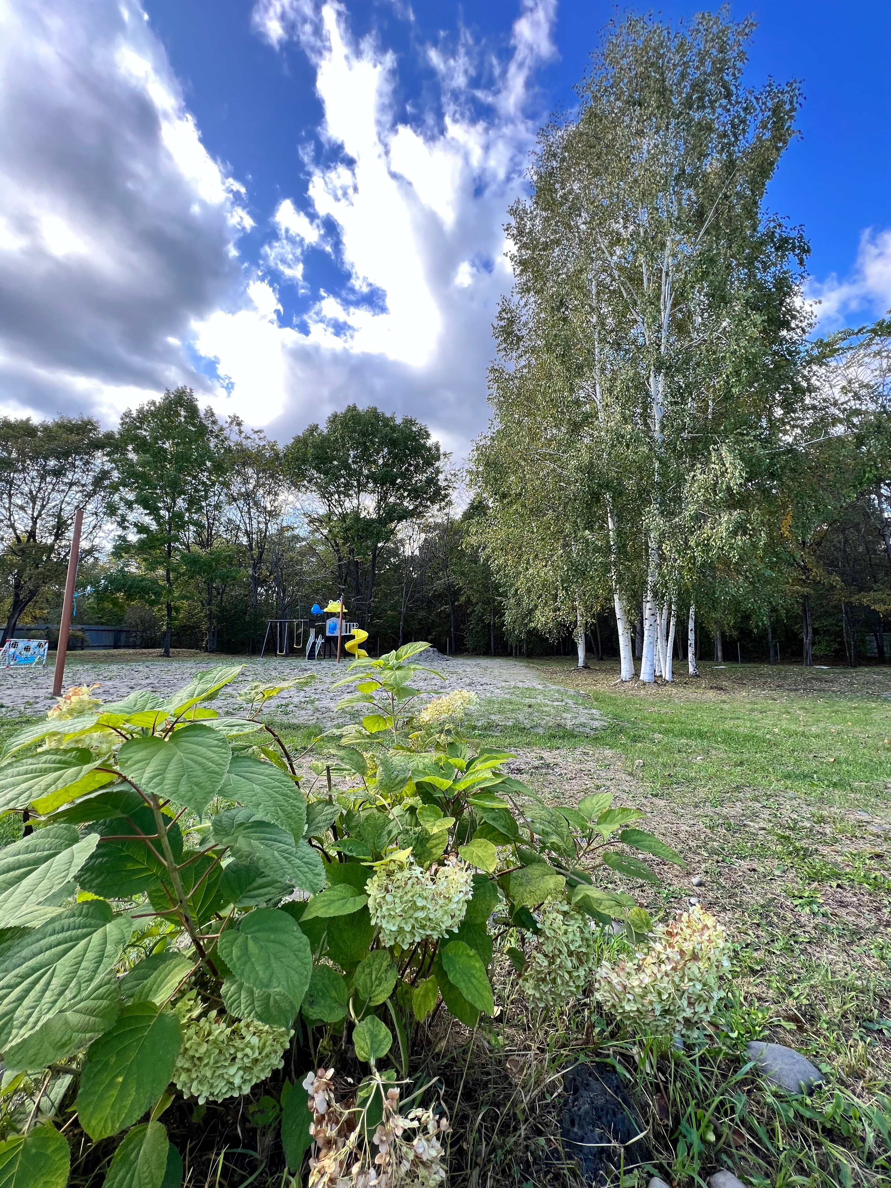 Фото Сплавной участок