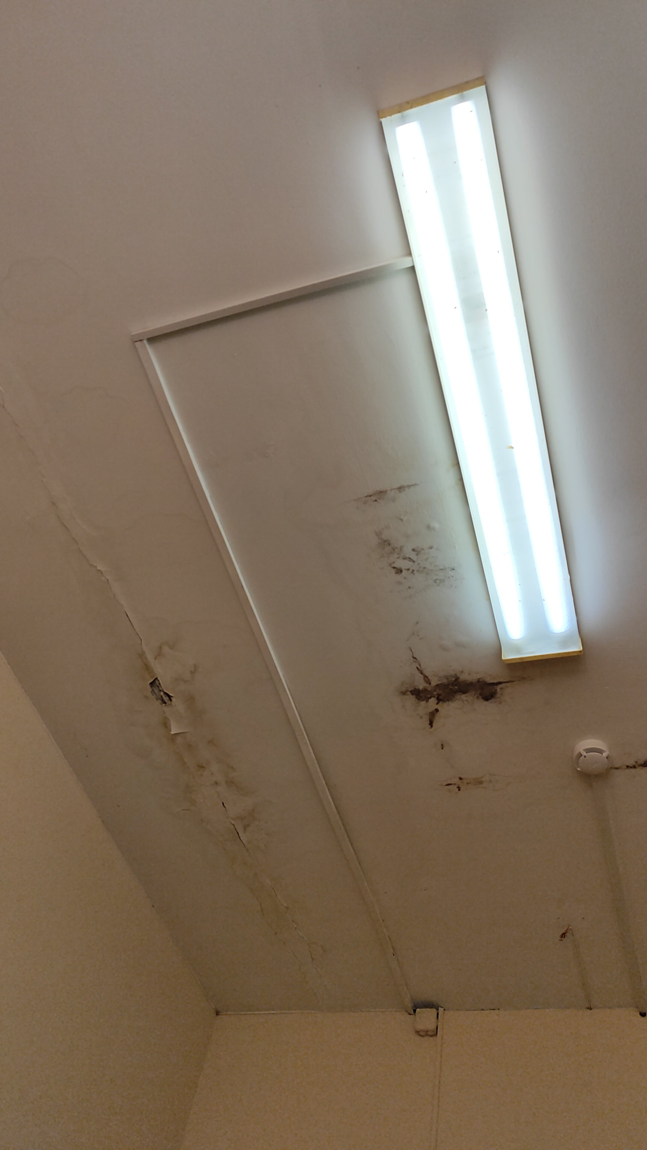 Фото Корона