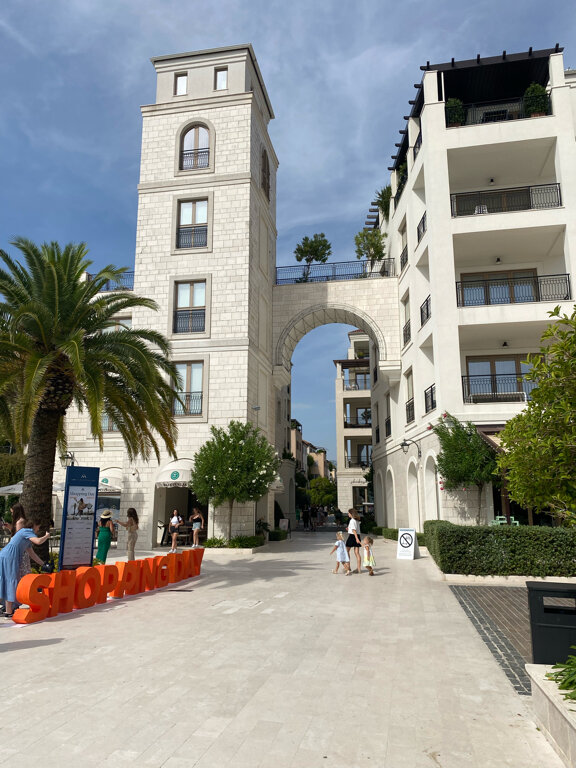 Фото Пальма