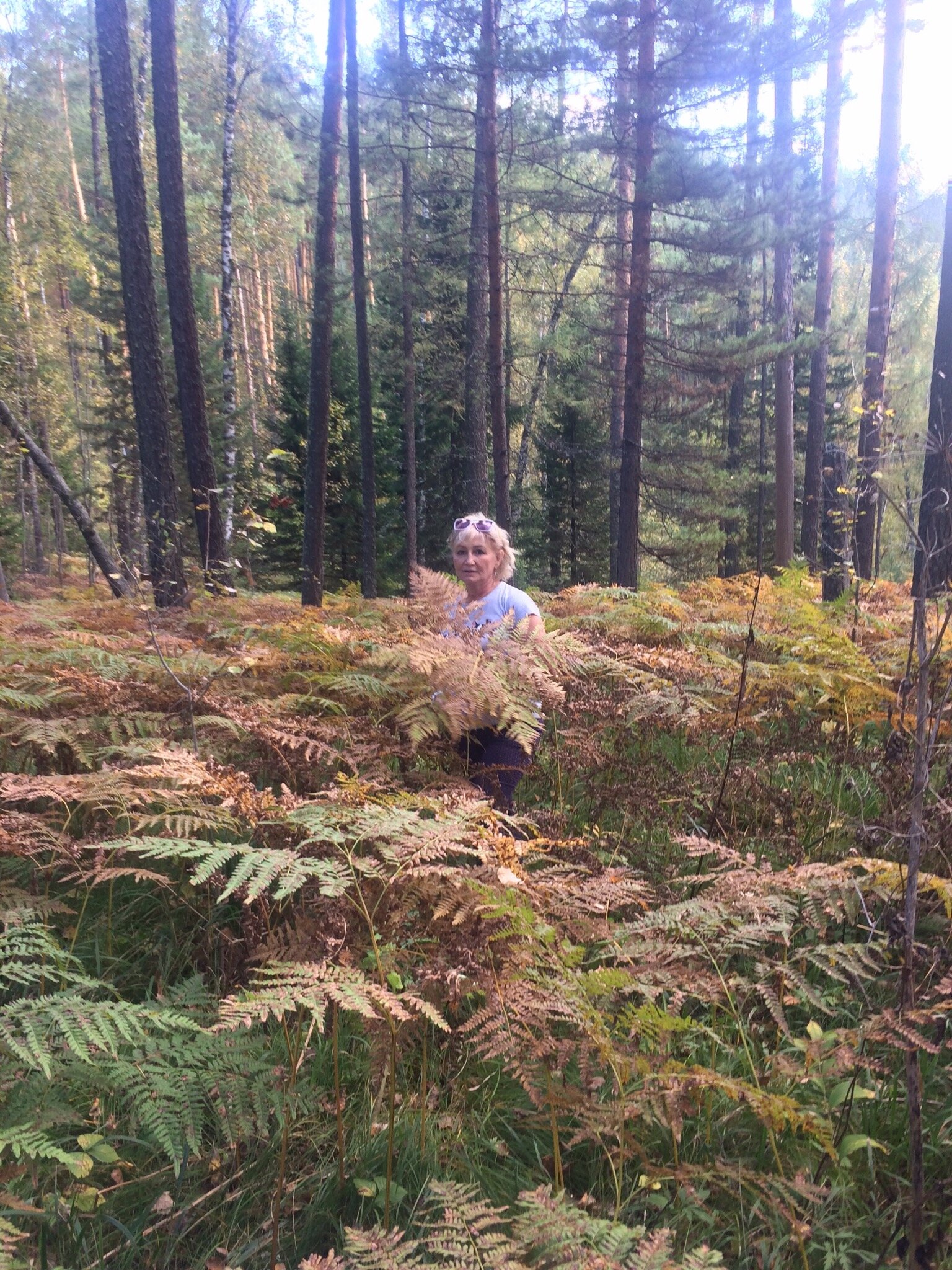 Фото Блэк пайн