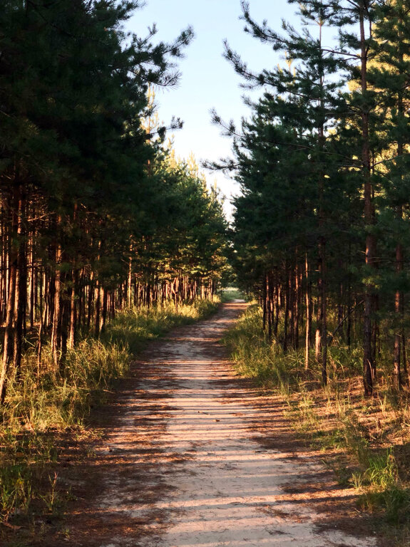 Фото Экопарк Поляны