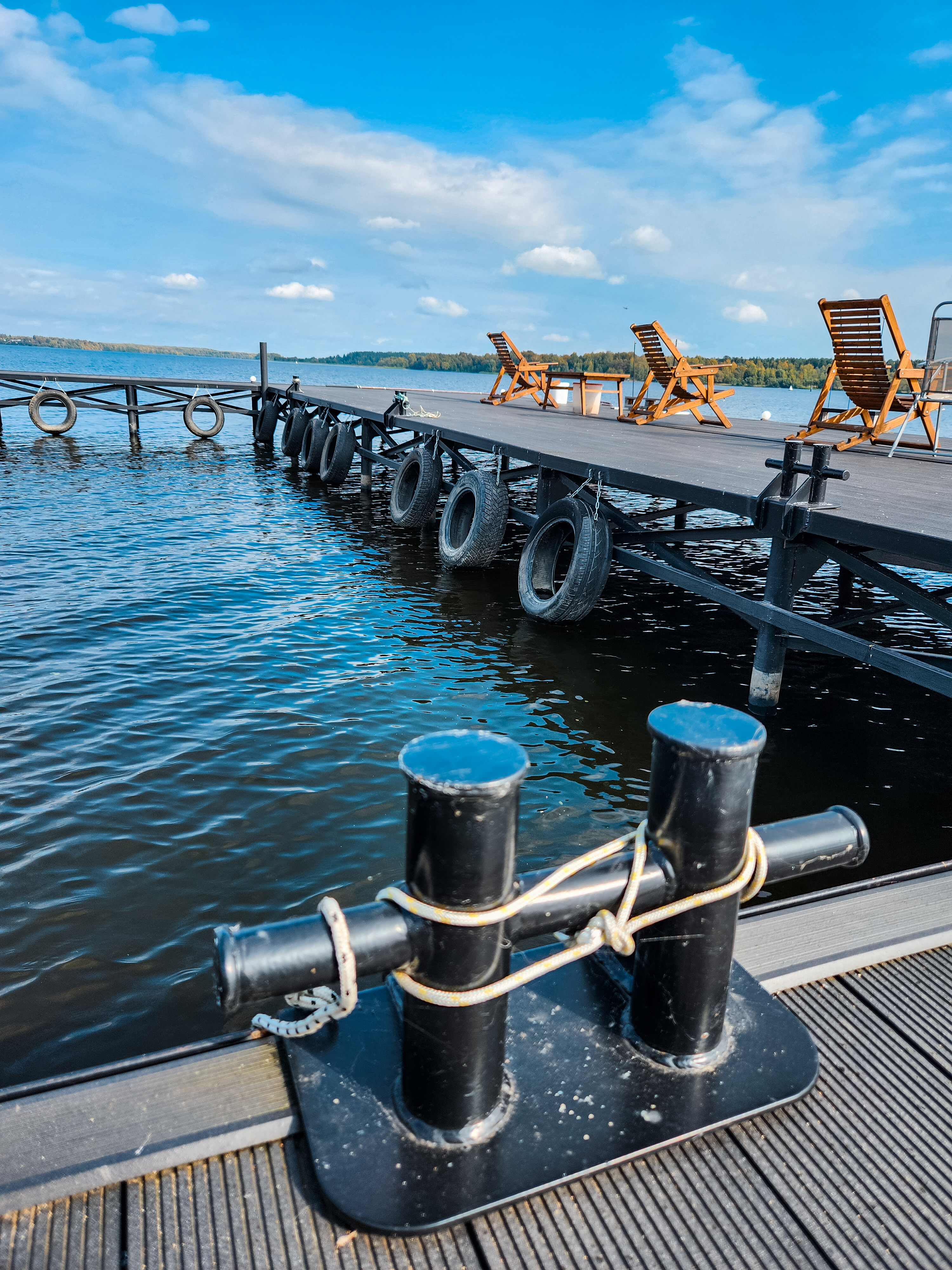 Фото Ёлки зелёные