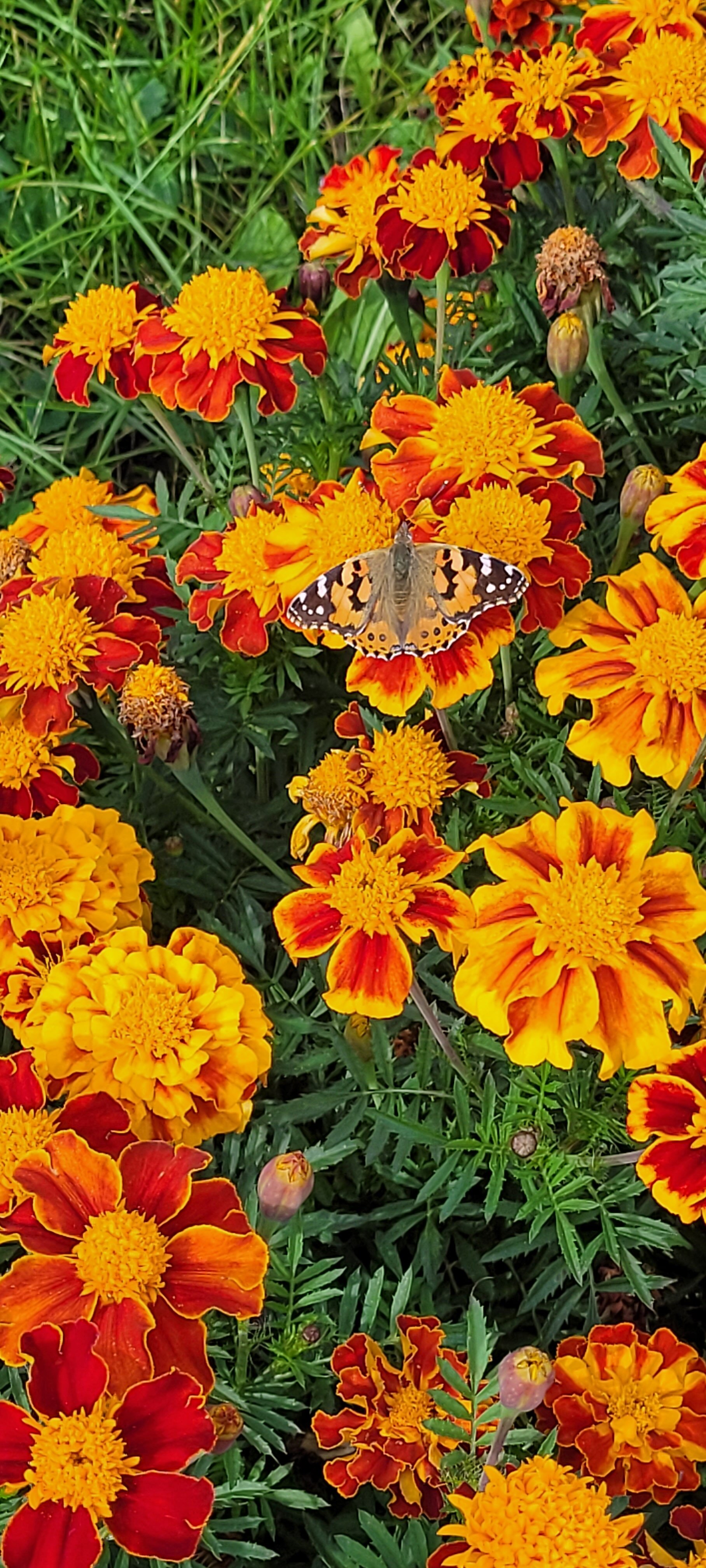 Фото Радуга