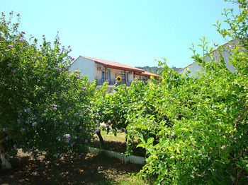 Фото Terra Mare Hotel