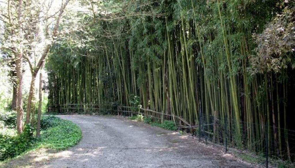 Фото Grand Hotel Terme di Stigliano