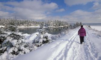 Фото Comfort Inn Dartmouth