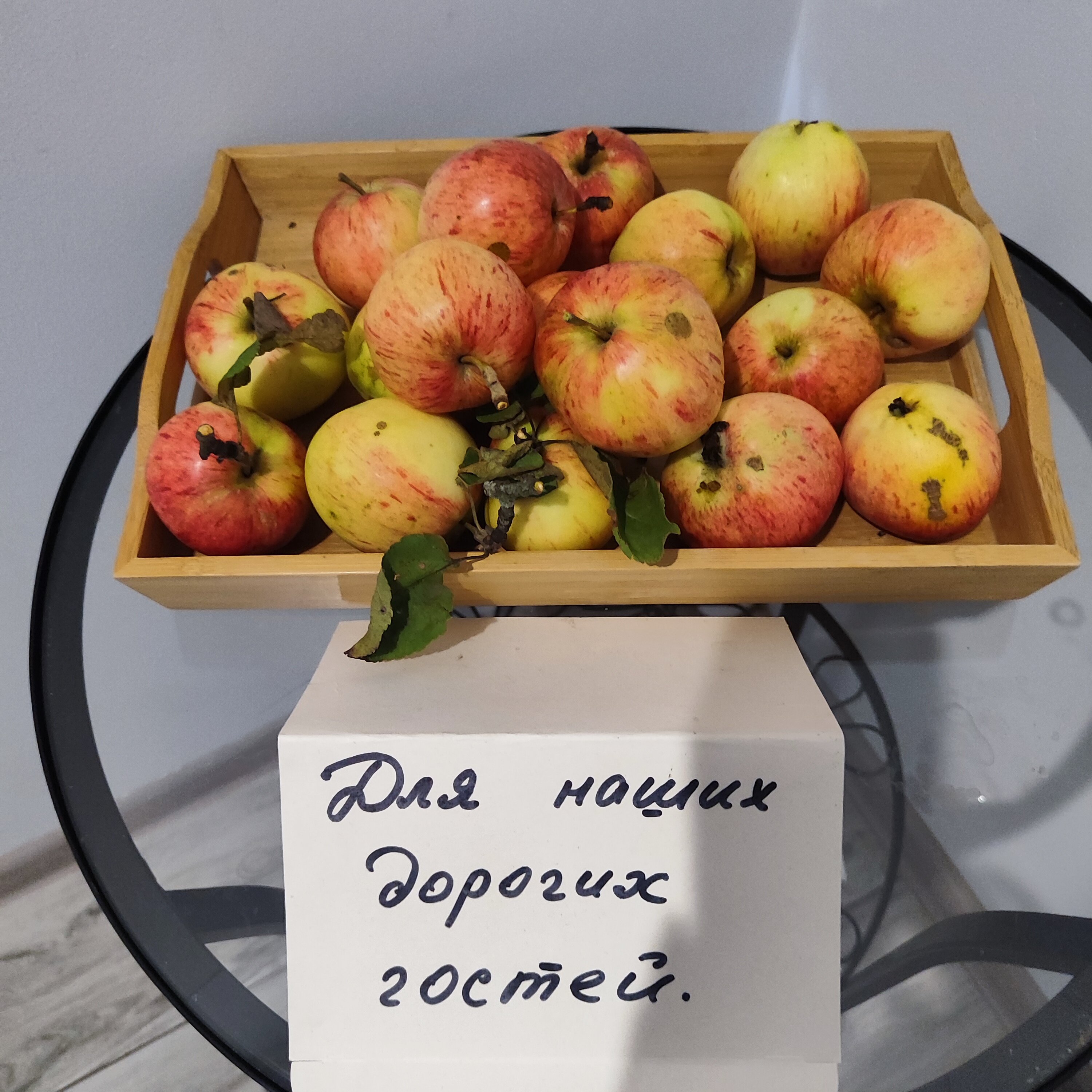 Фото  Гнездо