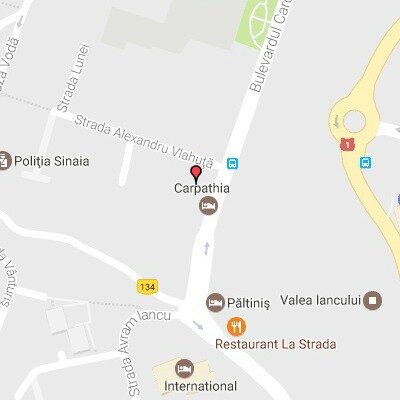 Фото Hotel Carpathia