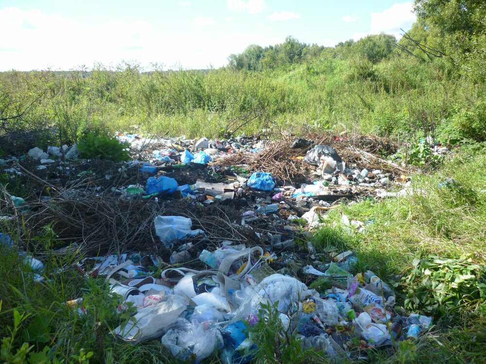 Вывоз мусора и отходов Чистый Мир - Вывоз мусора, Москва и Московская область, фото