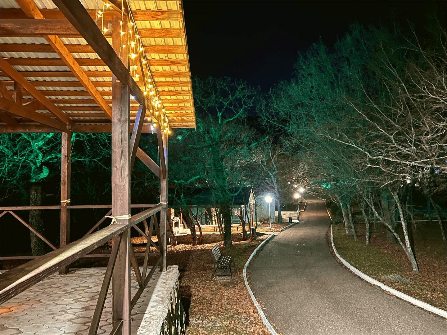 Фото Звёздный