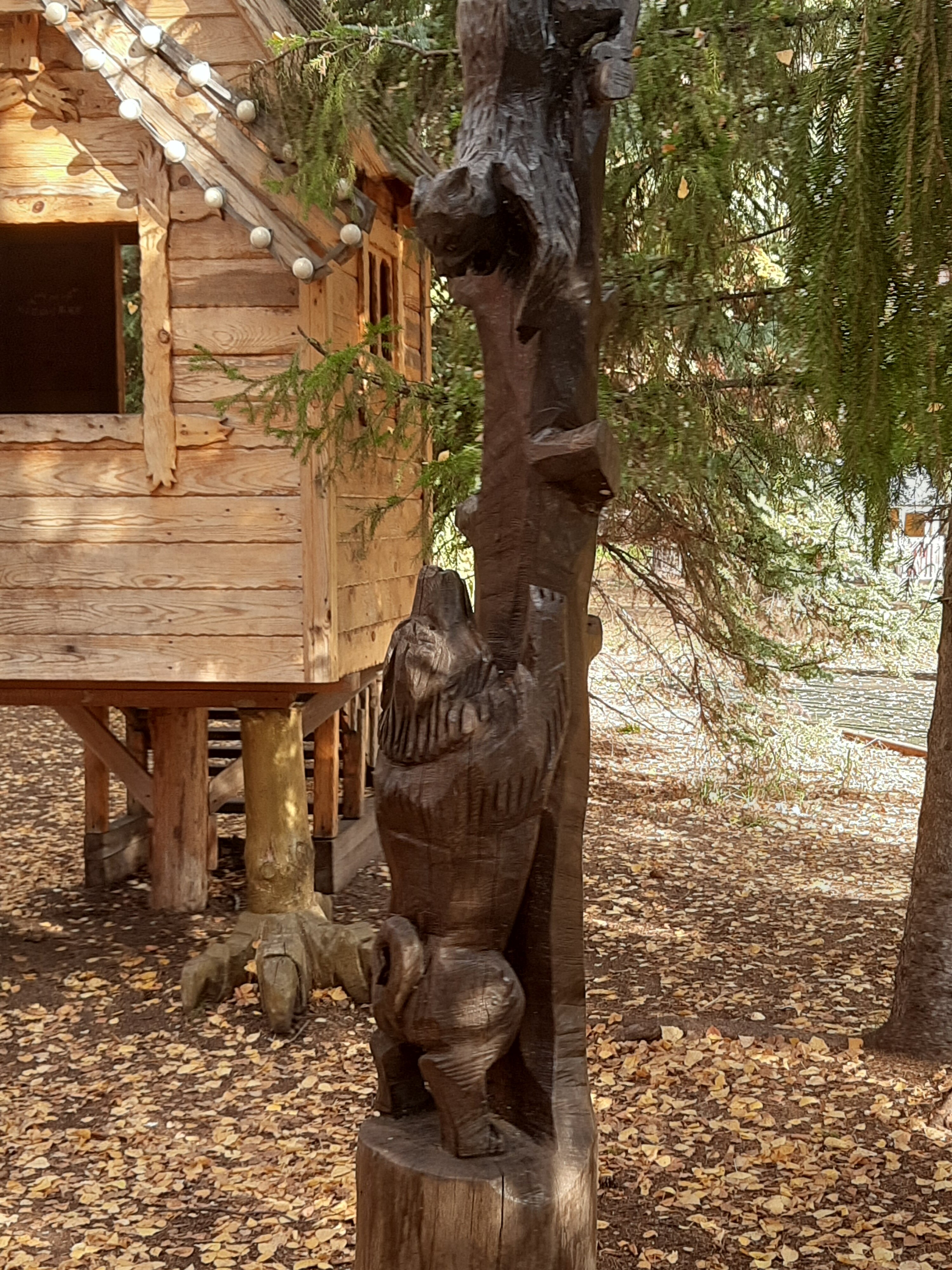 Фото Сказка