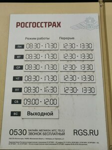 Росгосстрах, улица Сакко и Ванцетти, 107А — Моршанск