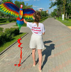 Print Kot (Lokomotivny Drive, 21с5), printing on t-shirts