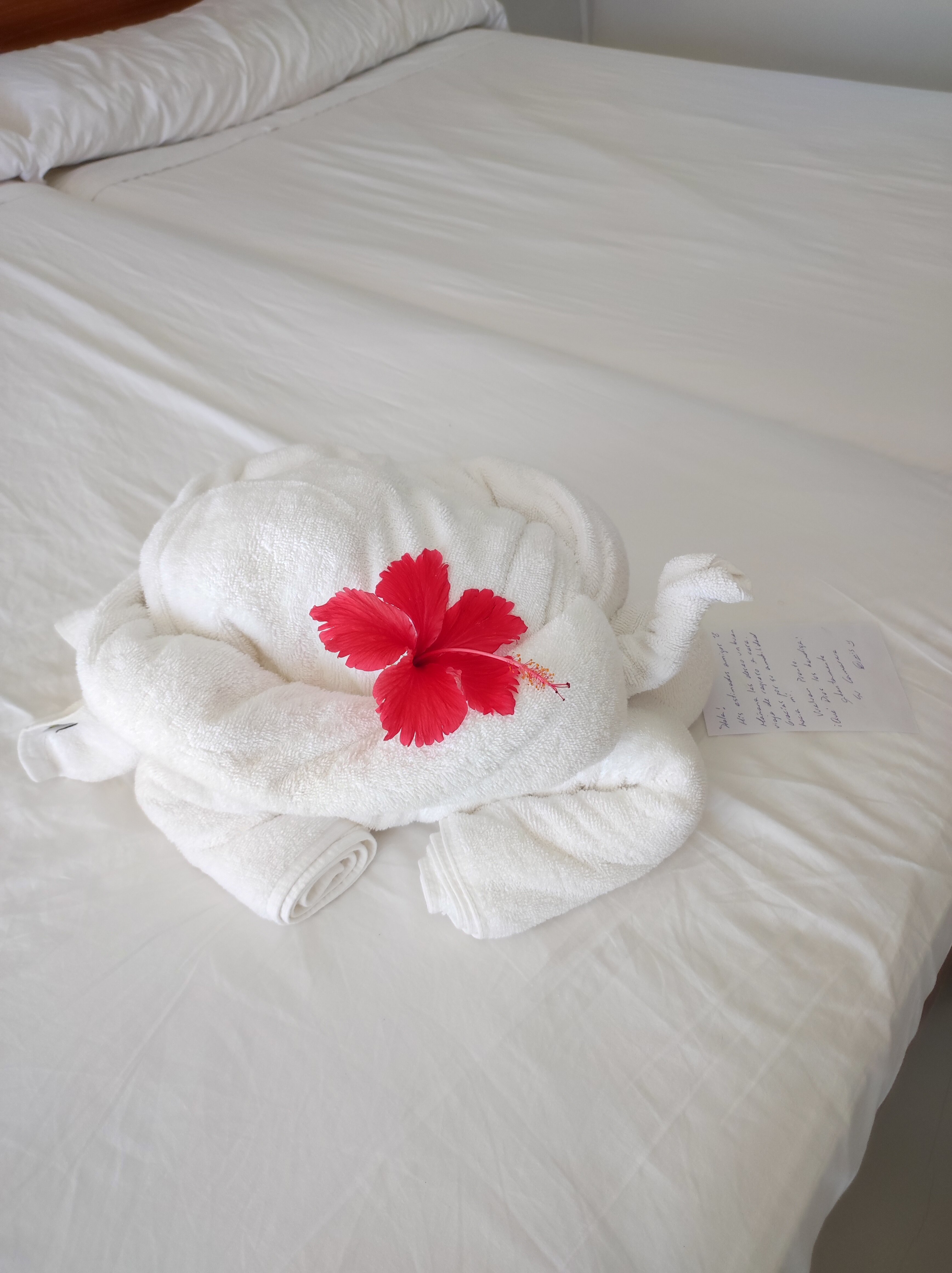 Фото Sol Varadero Beach