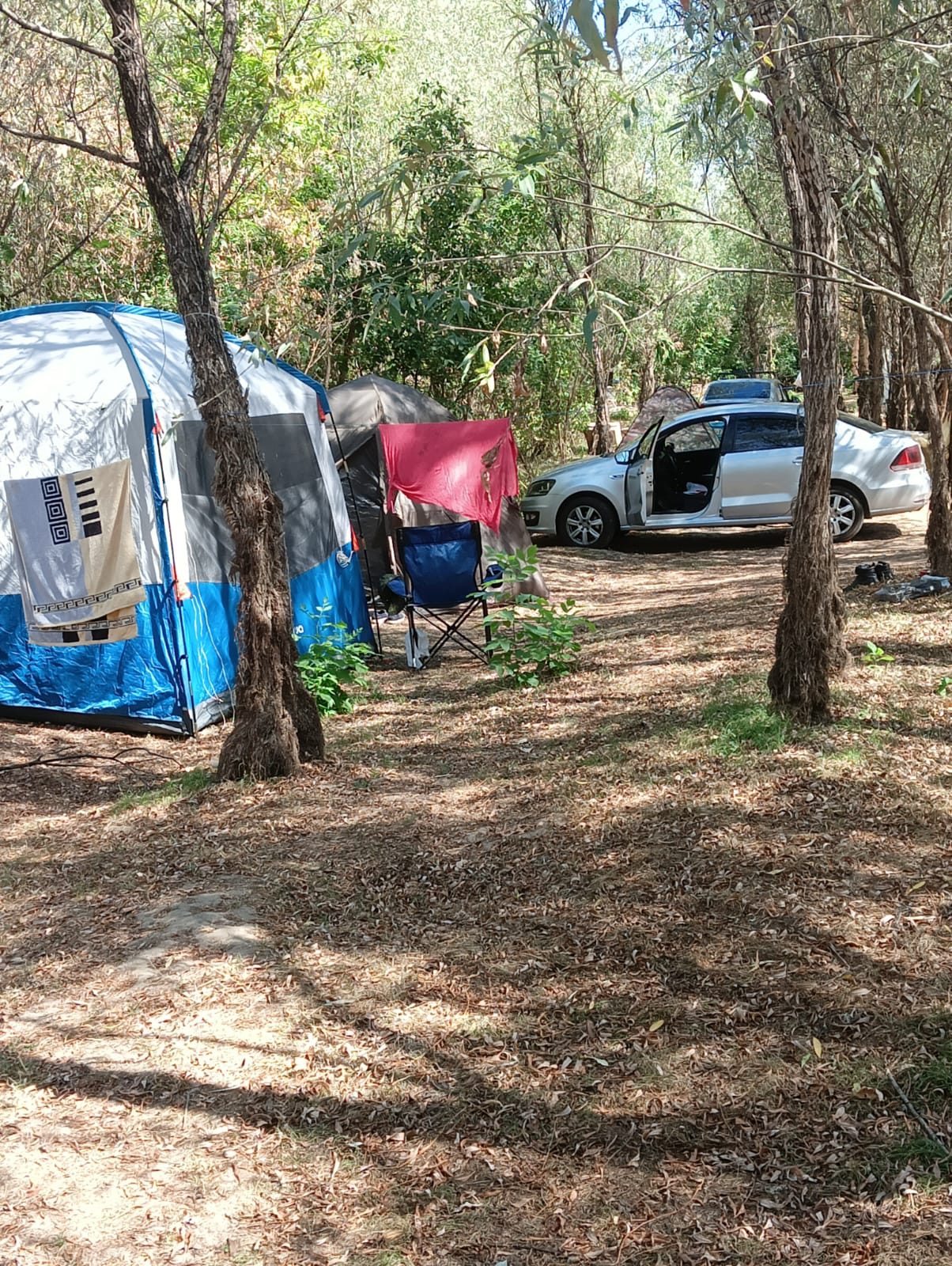 Фото База Звезда