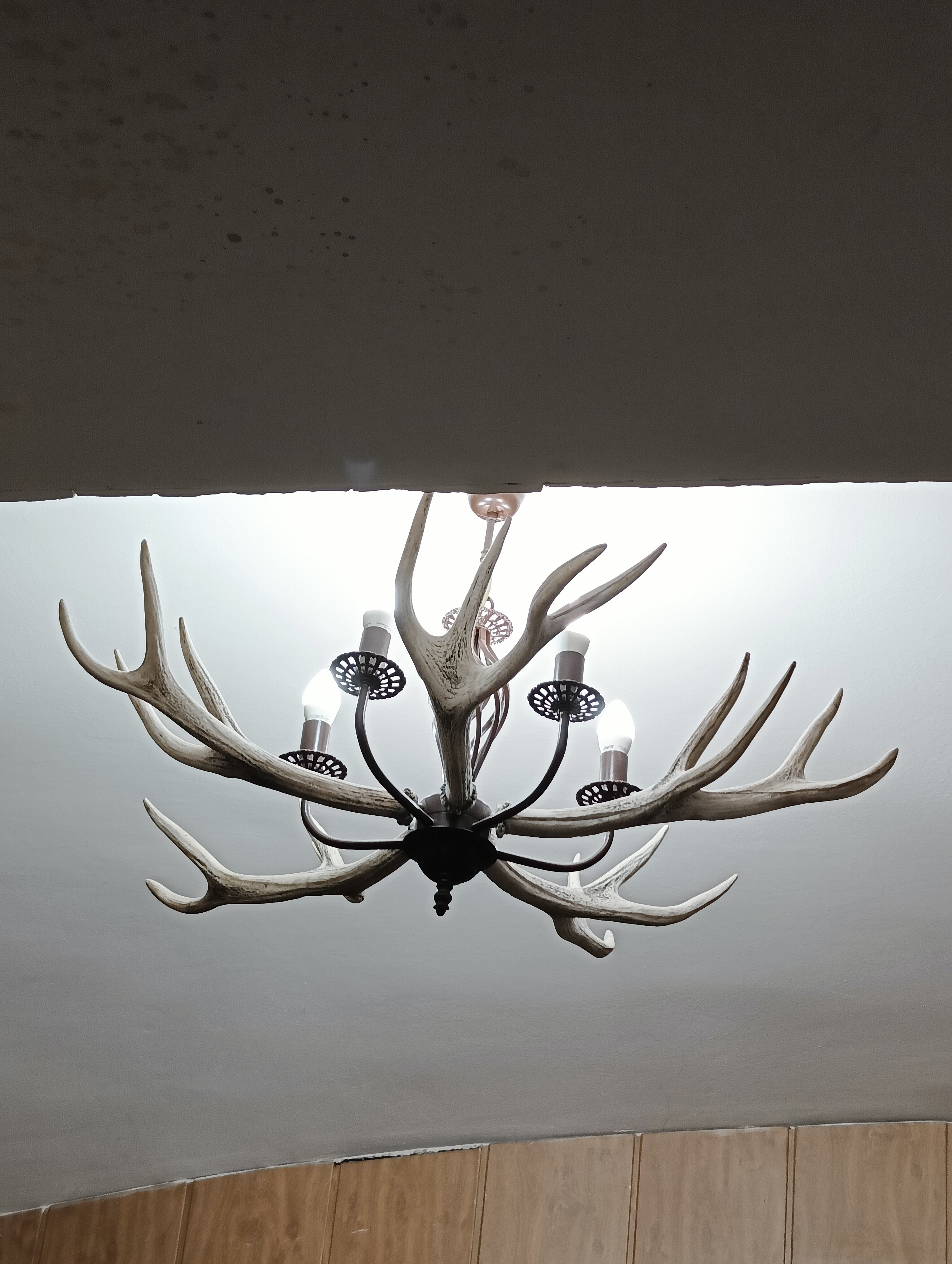 Фото Ситикомфорт