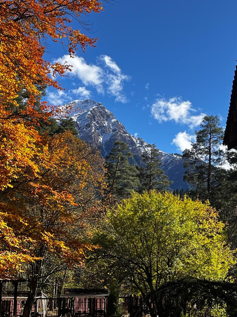 Фото Green Park Arkhyz SPA & Усадьба