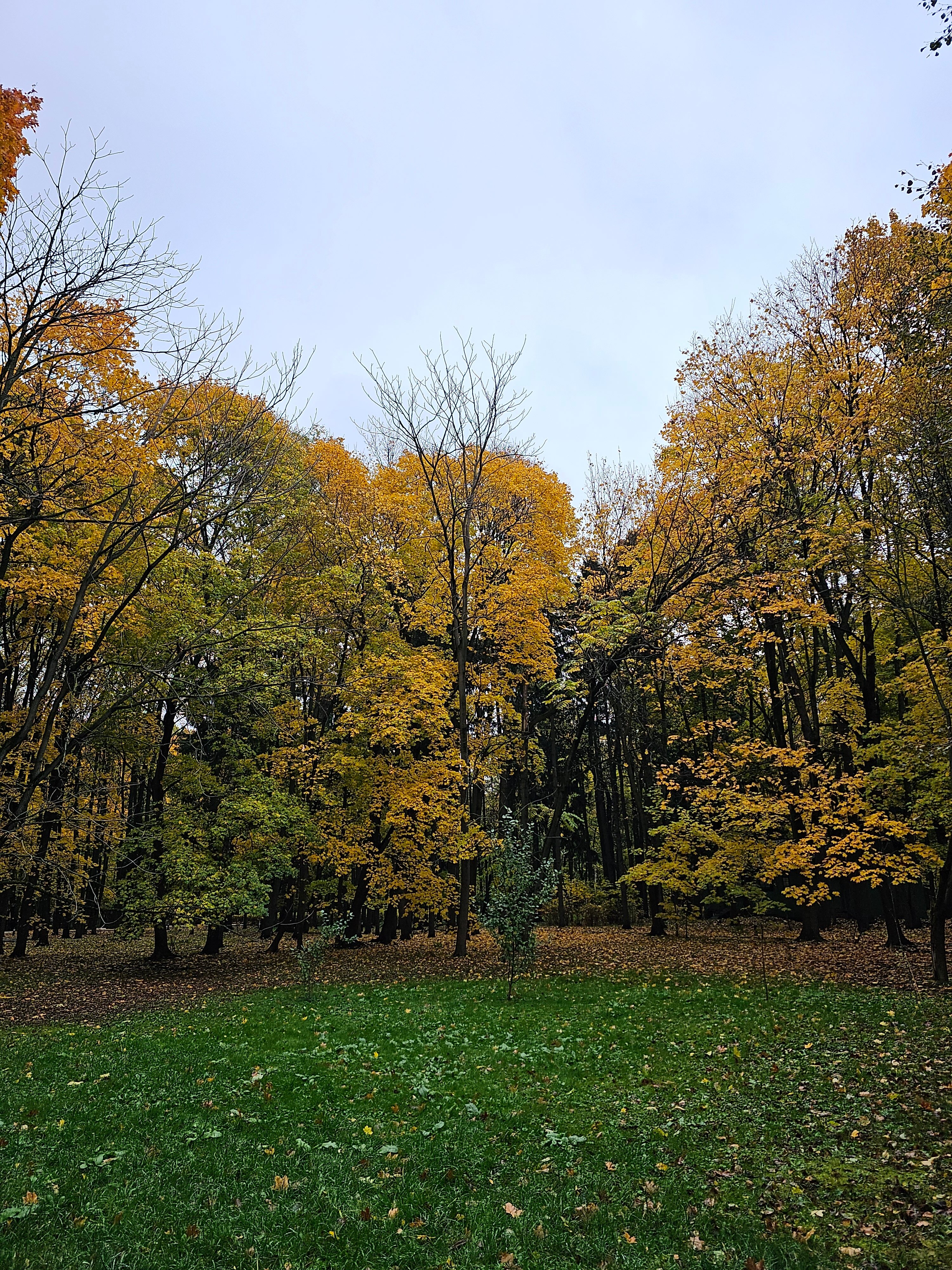Фото Конгресс Парк Волынское