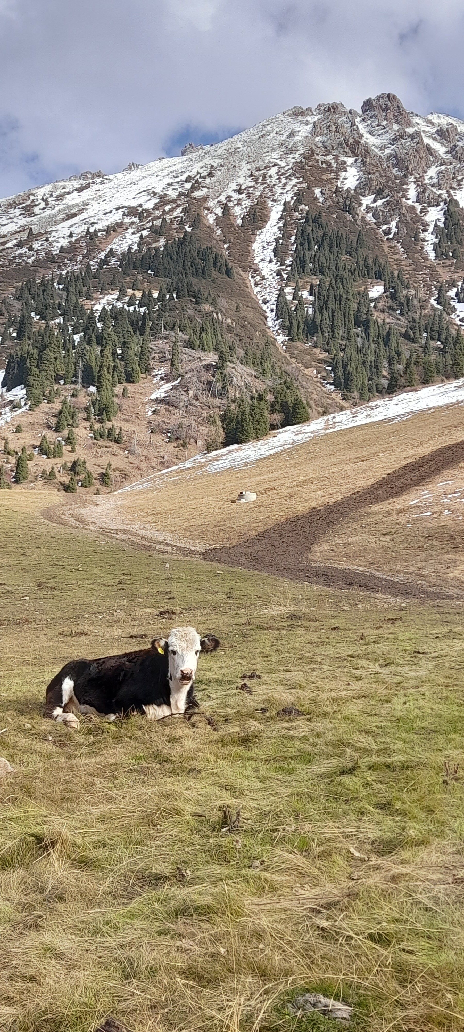 Фото Shymbulak Resort Hotel and SPA