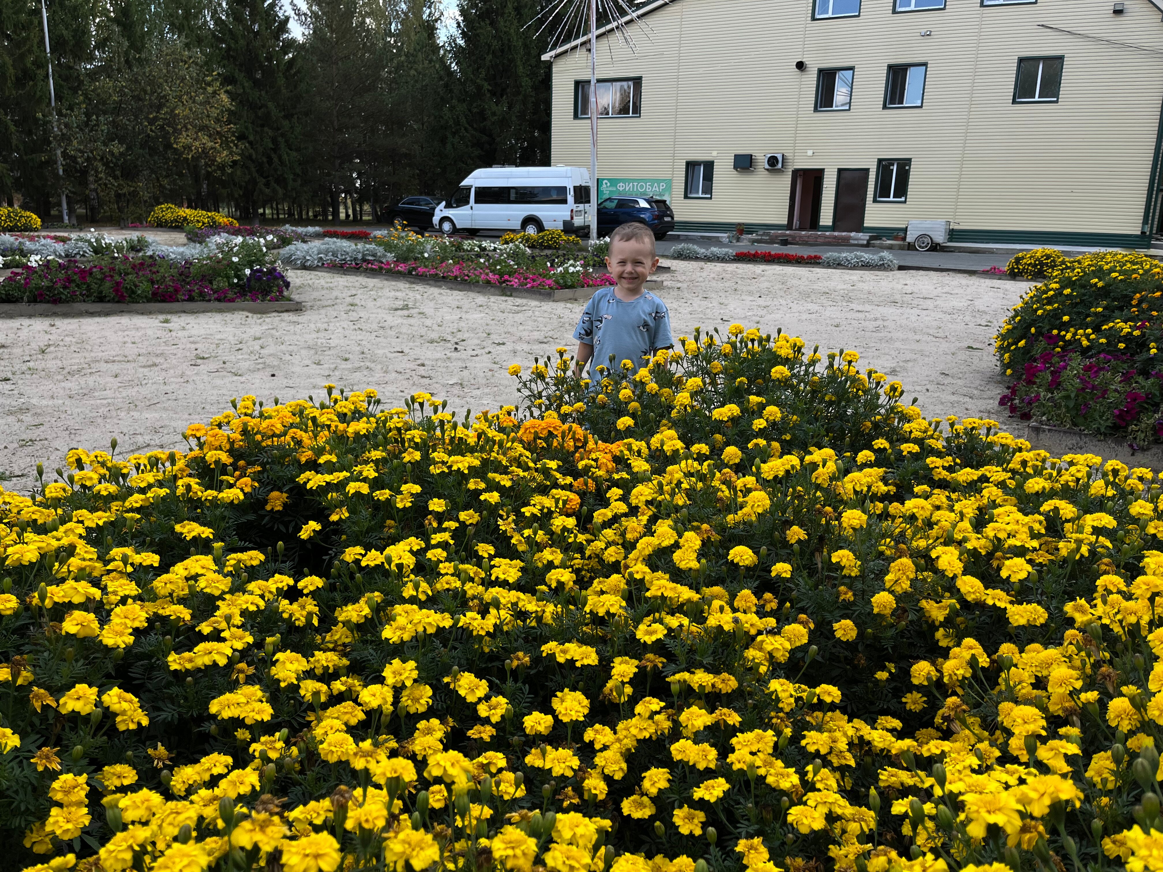 Фото Сосновый Бор