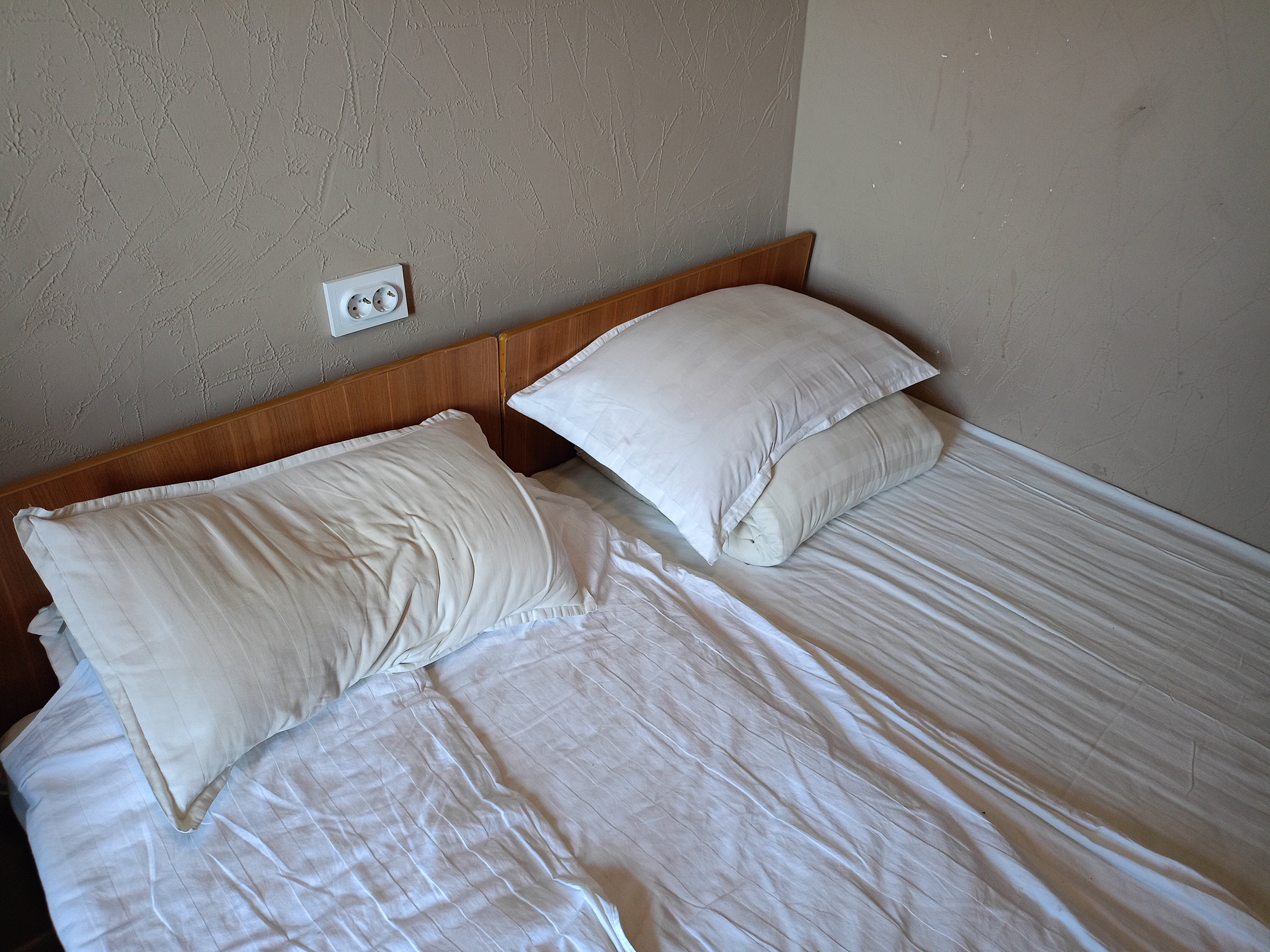 Фото Золотая Чаша