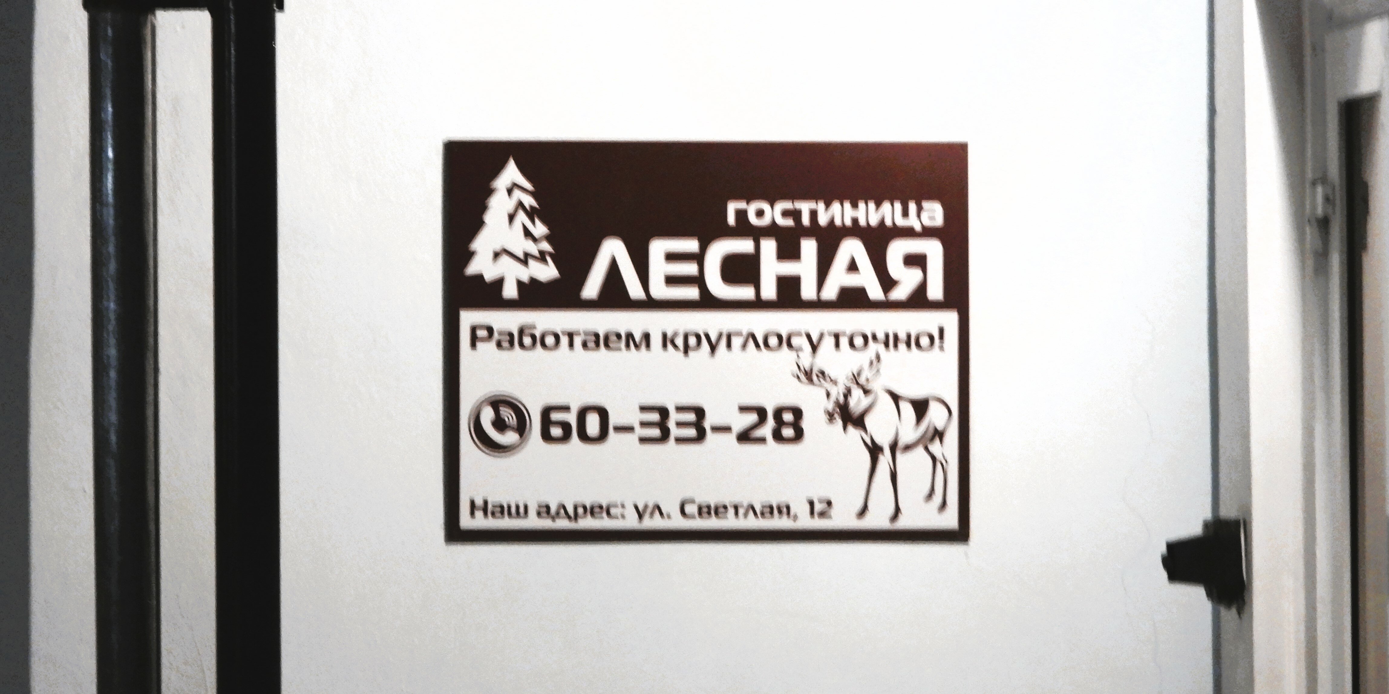 Фото Лесная