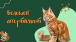 Зооферма (Russkaya Street, 57Бс3) ، متجر للحيوانات الأليفة