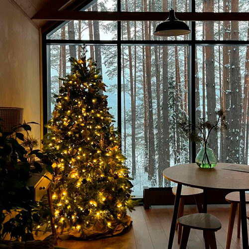 Дом отдыха Блэк пайн в Красноярске