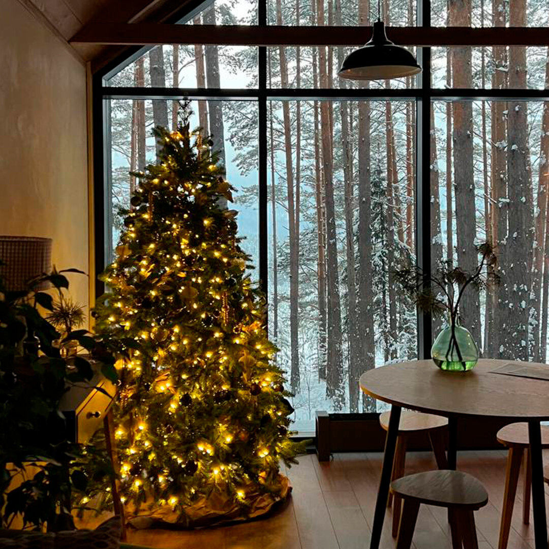 Фото Блэк пайн