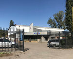 Golden Poplar (Alatau City Administrative District, Áıgerim-1 shaǵyn aýdany, Arshaly kóshesi, 80Б) ، شبابيك