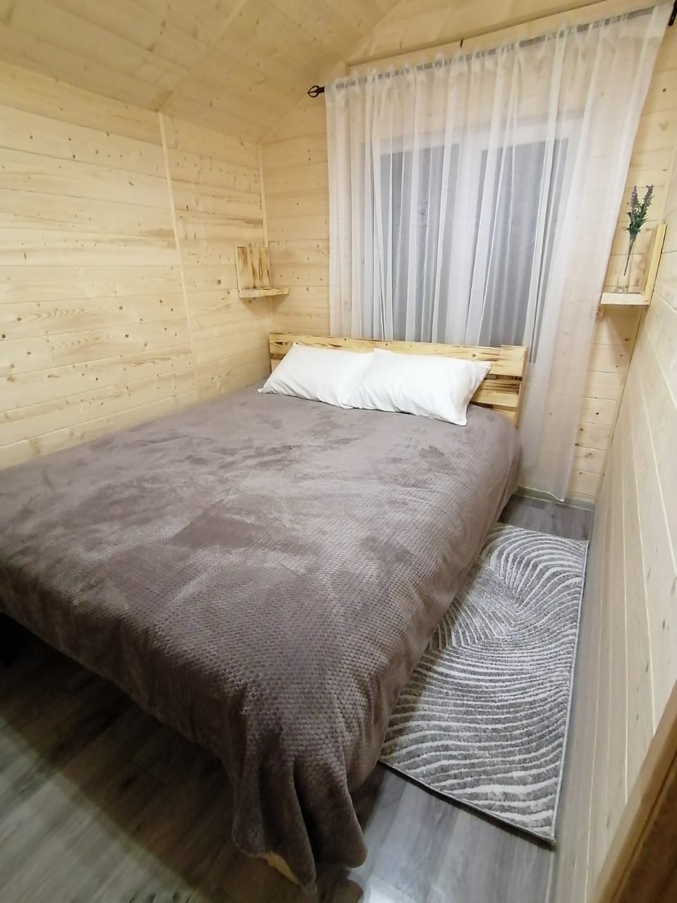 Фото Дикая Лошадь