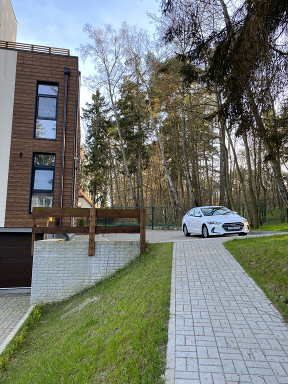 Фото Whale apart