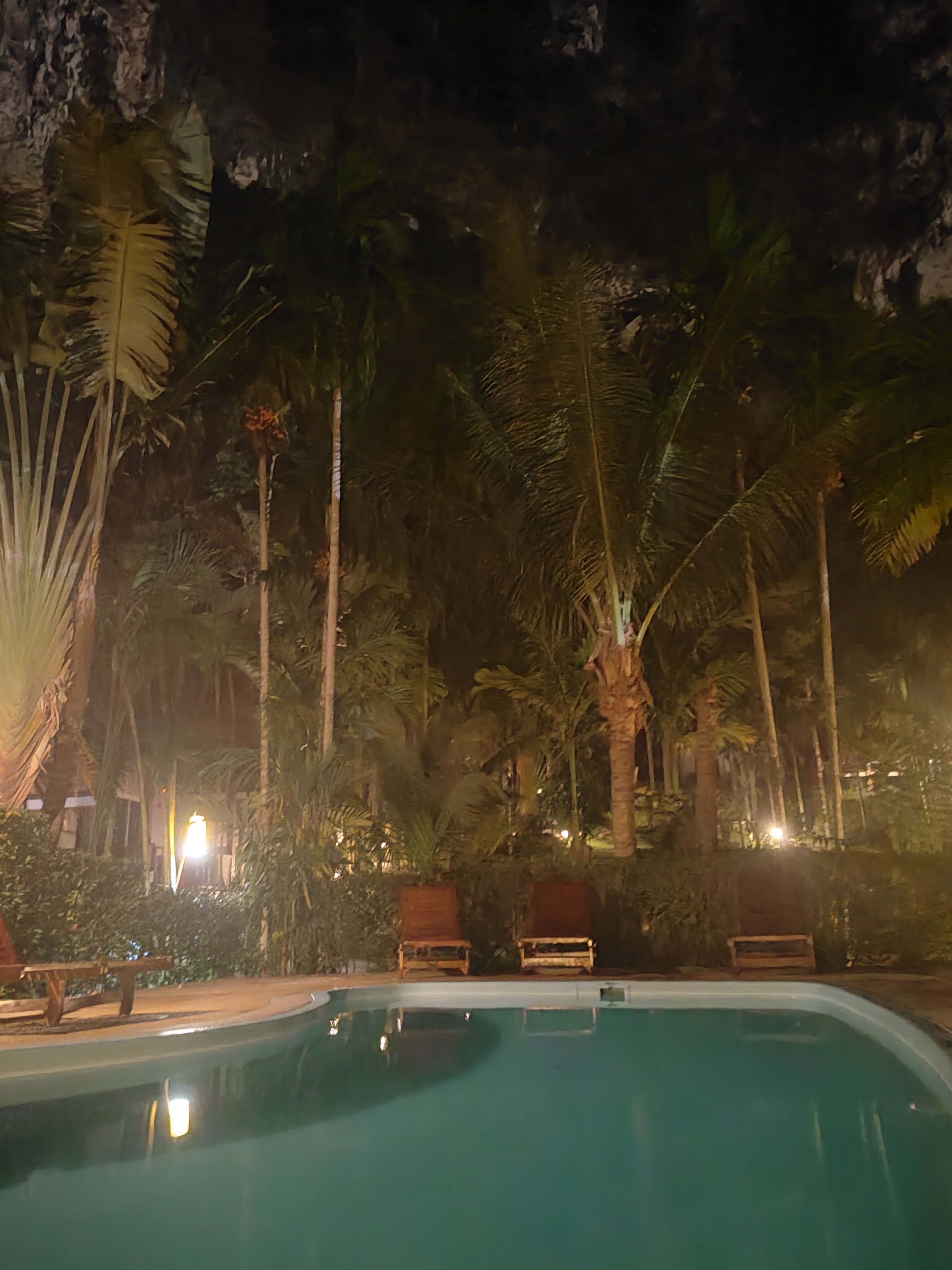 Фото Vipa Tropical Resort