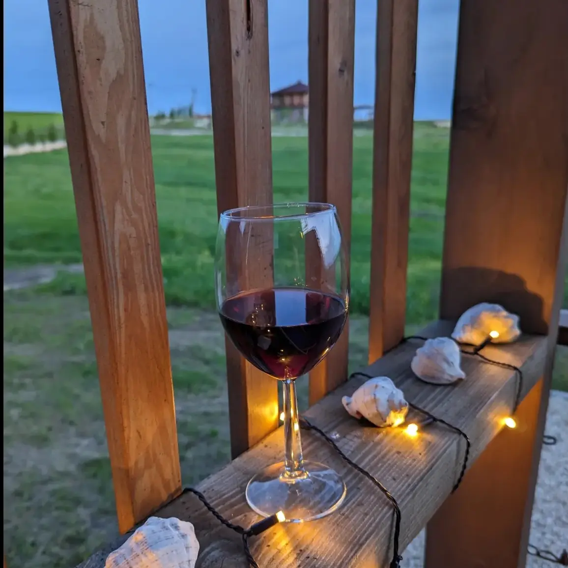 Фото Фридом