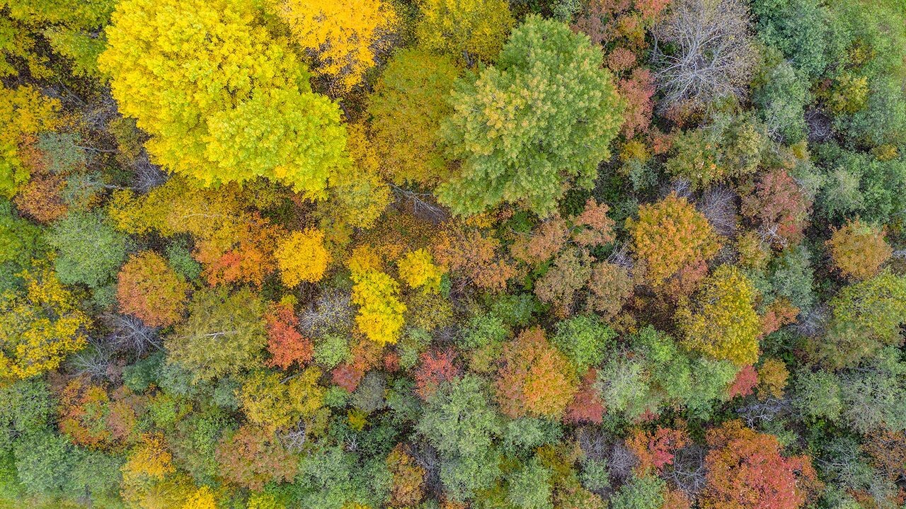 Фото Экотурсервис