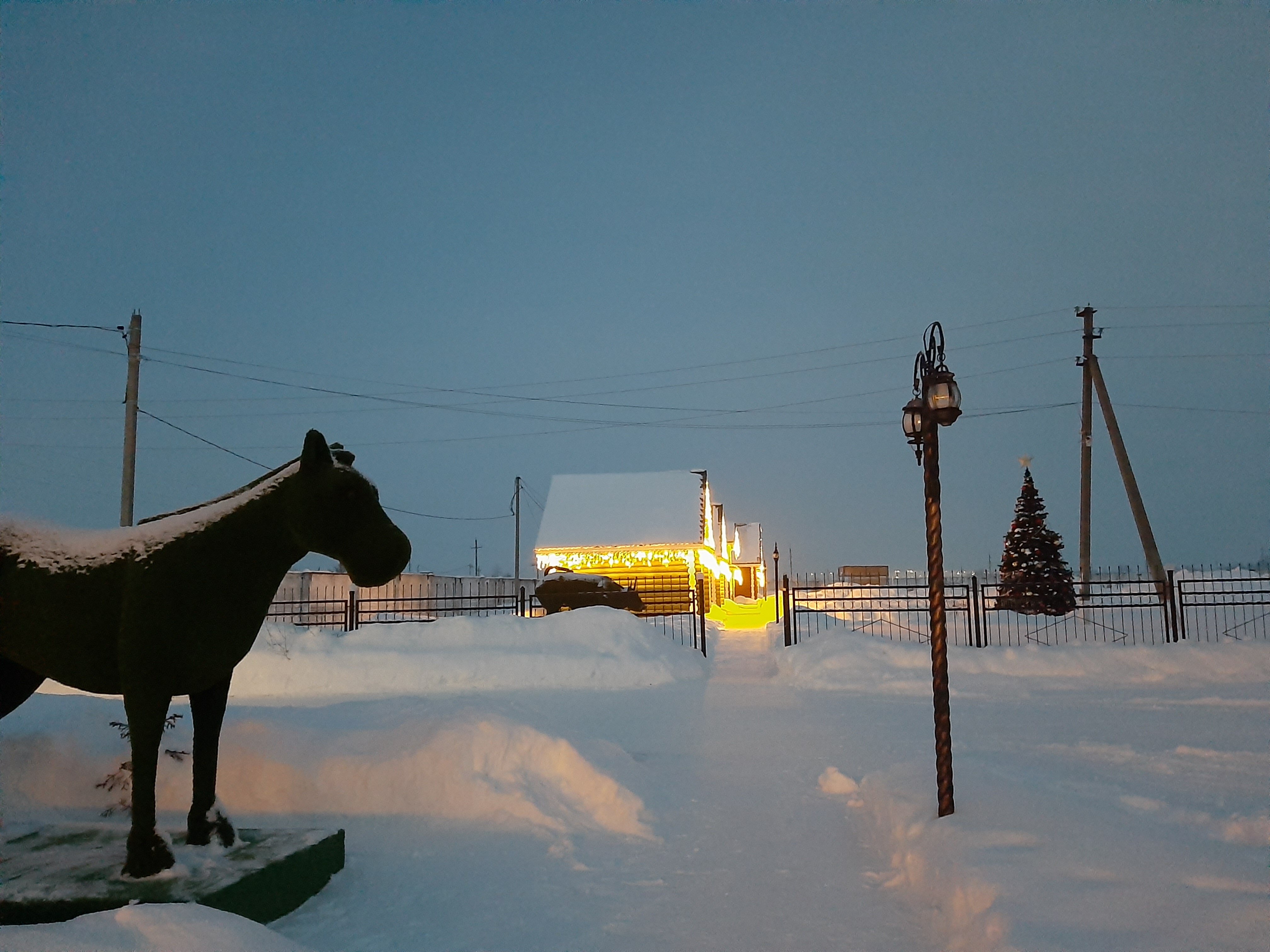 Фото Кумыска