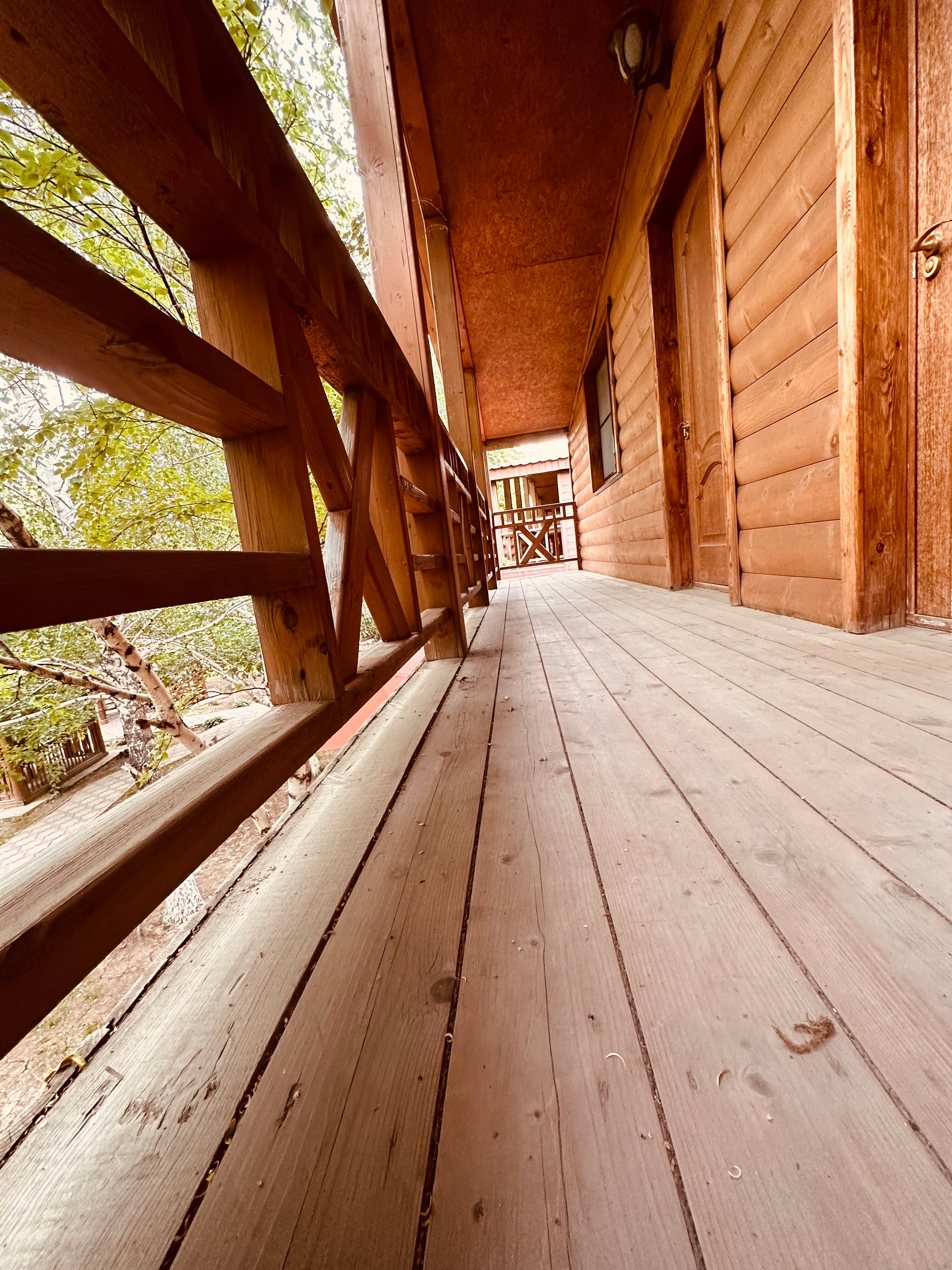 Фото Надежда