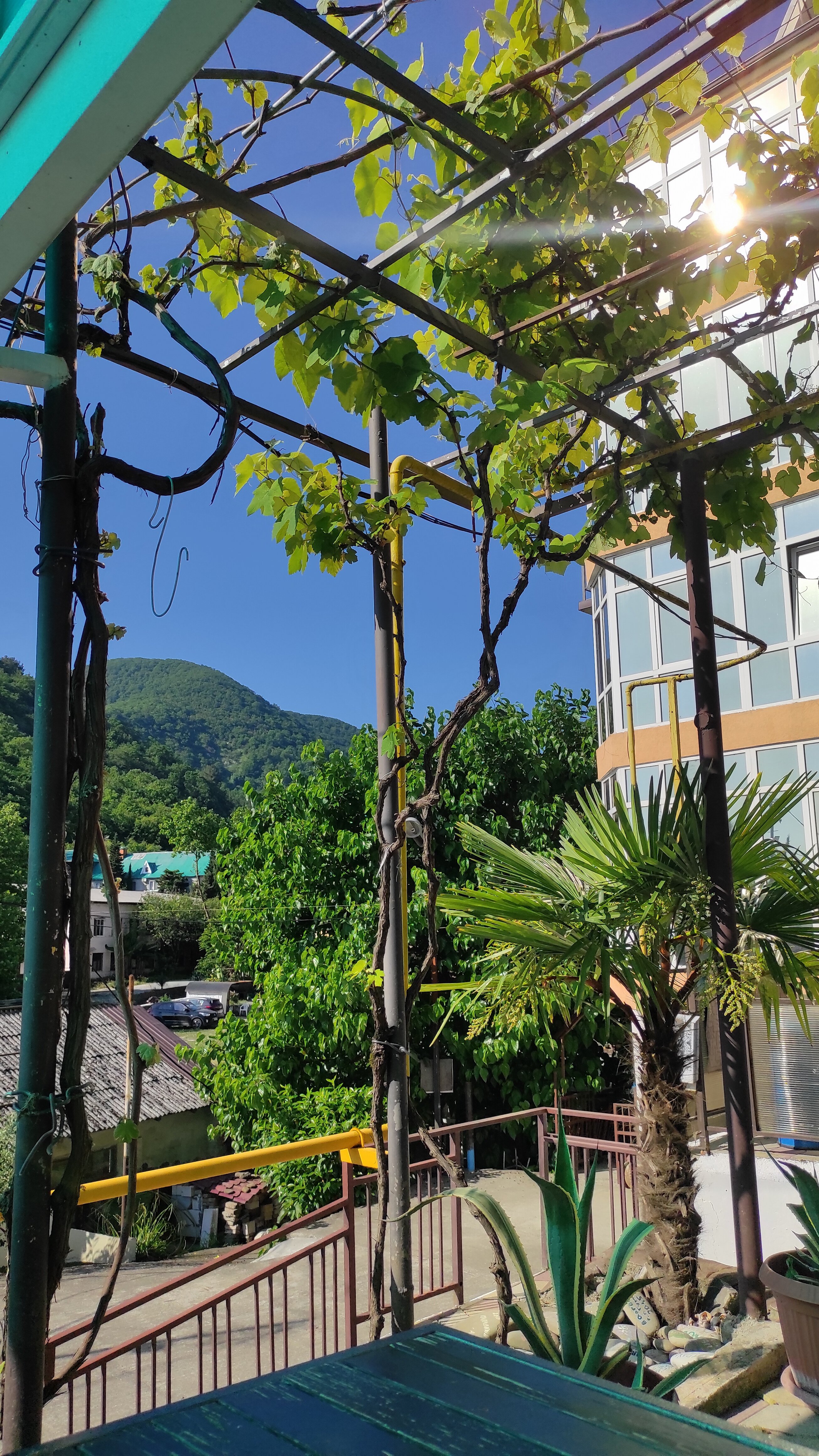 Фото Гармония