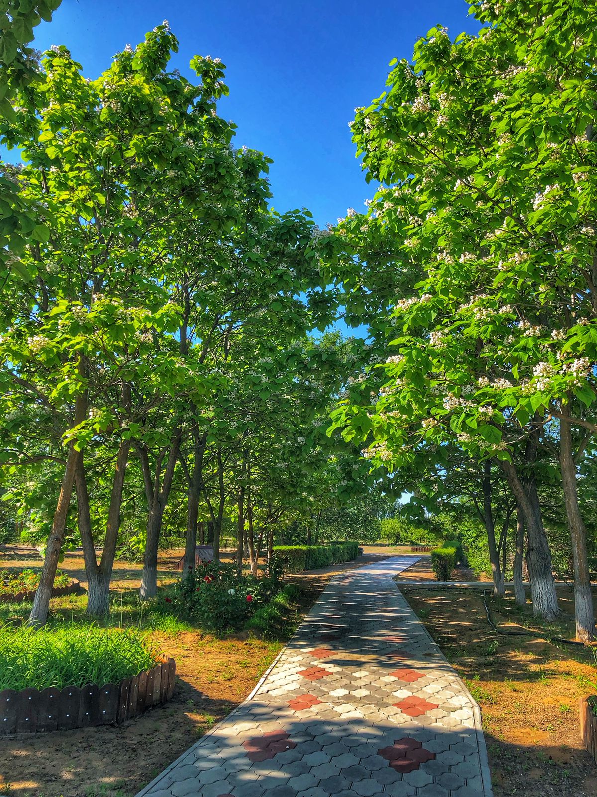 Фото Рыбацкая деревня