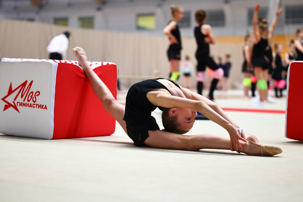Sports school Mosgymnastics, Moscow, photo